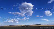 view the  Misc. Wyoming & Laramie Area Photos collection