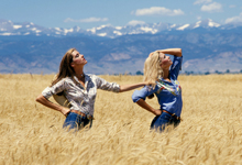 view the Fashion collection