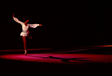 view the Entertainers & Public Figures collection