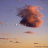 Puffy Cloud, Flying Pig