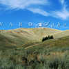 Hillside in Shadow & Sun, Lamar Valley, 380821_0407
