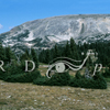 Browns Peak, Tundra, Conifer Krumholtz Formation, 4Pan350814_