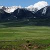 Elk Mountain and Cattle from South, 400616_001